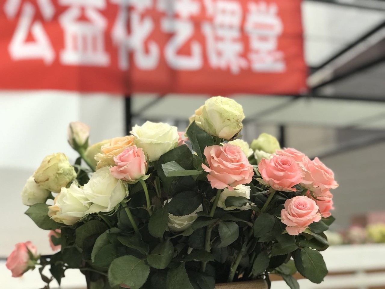 微信图片_20180702111307.jpg